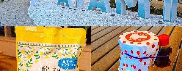 熱海温泉 熱海プリン