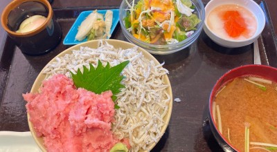 魚がし 南羽生駅 居酒屋