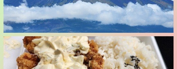 唐揚げ専門 さくら商店