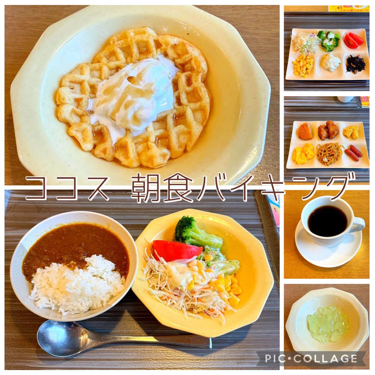 活動歴および当時の関連ビジュアル記録