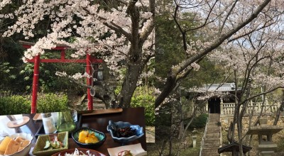 Cafe Bar Lily Bell リリーベル カフェ