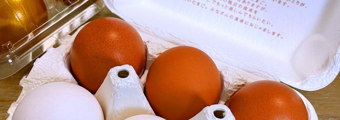 とよんちのたまご 下北沢店