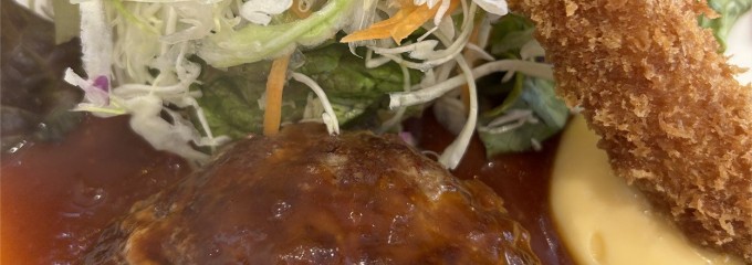 ナカデラニチョウメハンバーグ サンタベ
