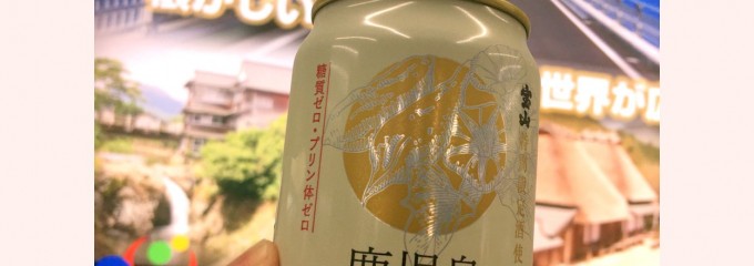 鹿児島空港 国内線ターミナル