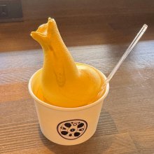 kaname921さんの写真