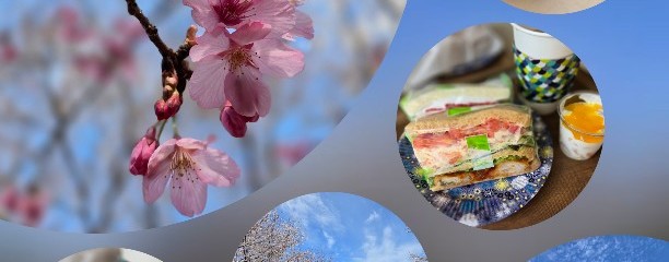 コウジ サンドウィッチ スズムラ