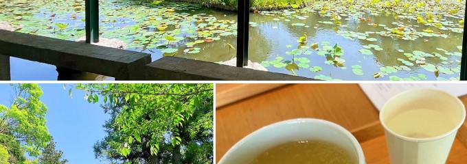 鶴岡八幡宮