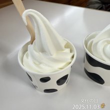 wellupさんの写真