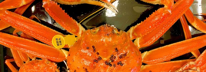 温泉食堂 えちぜん丸太屋 カニ喰亭丸太