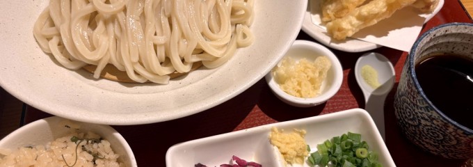 うどん日和ひこどん