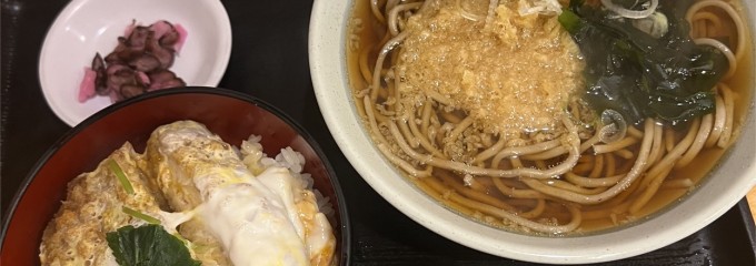 生そば・讃岐うどん かのや 新橋駅構内店