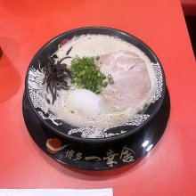 kajiwarateppeiさんの写真