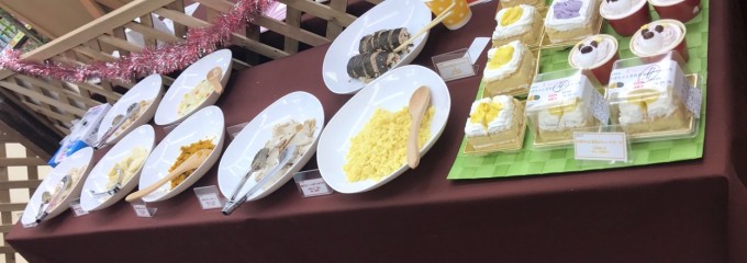 ペッツクローバー 東大宮店 東大宮店