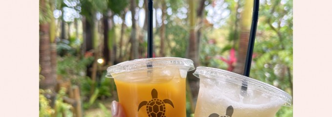 ブルータートルファーム マンゴーカフェ