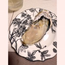 hariharさんの写真