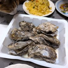 ruridayoさんの写真