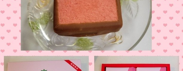 もりもと 新千歳空港店