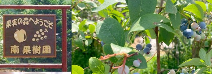 果実の森南果樹園