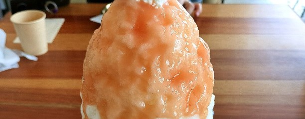 季節のくだもの 団吉氷店