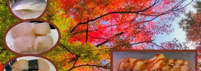 回転寿司みさき