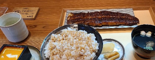 鰻丸