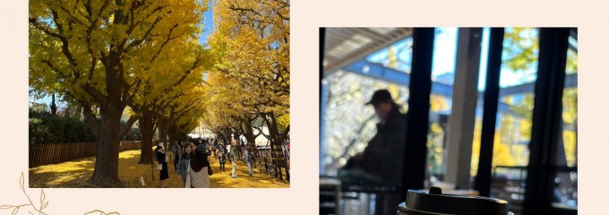 SHAKE SHACK 外苑いちょう並木店