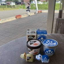s_pontaさんの写真