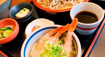 手打ちそばうどん おにざわ 鹿嶋 潮来 行方 新鉾田 そば