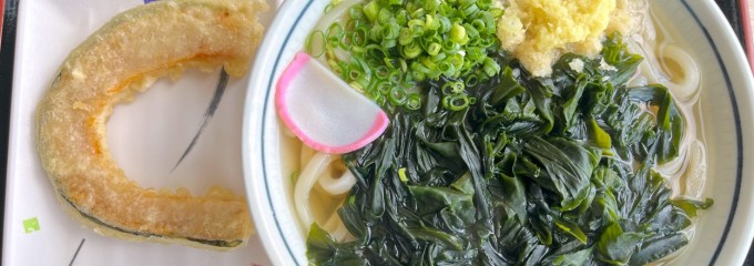 さぬきうどん くぅちゃん 本店