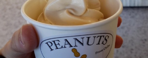 道の駅 しょうなん