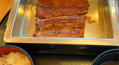 うなぎ大黒屋 目黒八雲店 東急沿線 自由が丘 東京 うなぎ どじょう