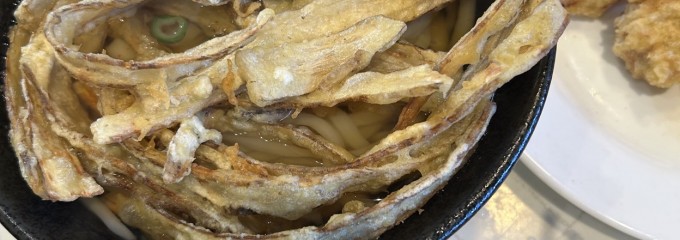 さぬきうどん食堂 つるり