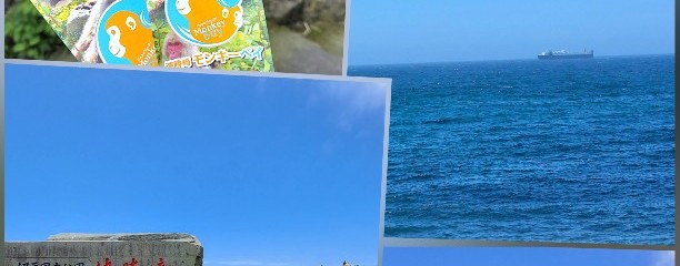 波勝崎モンキーベイ