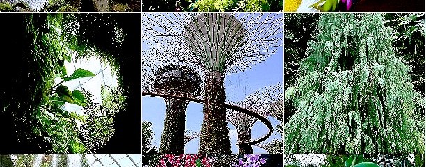 Gardens By The Bay