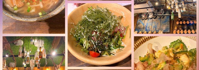 沖縄料理 海物語 本店