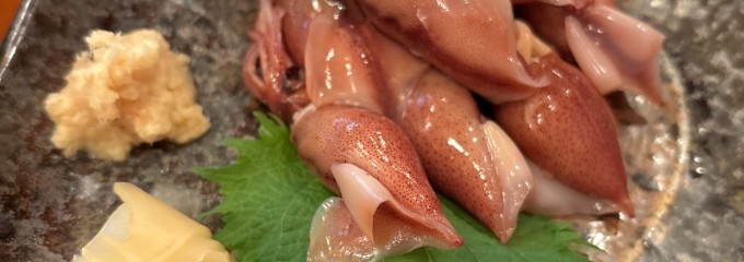 小菊