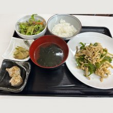 purico728さんの写真