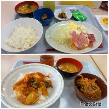 jun617motoiさんの写真