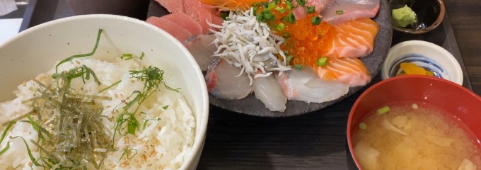 魚やん