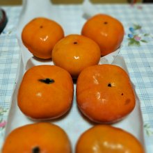 misapeaさんの写真