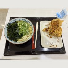 toriviさんの写真