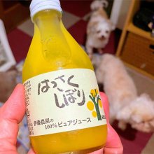 rammilkさんの写真