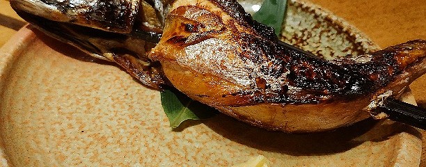 なかめのてっぺん