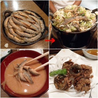 駒形どぜう 渋谷店 渋谷 神泉 渋谷 うなぎ どじょう