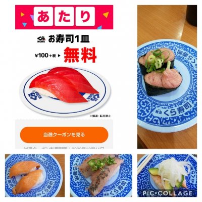 無添くら寿司 江戸川店 寿司