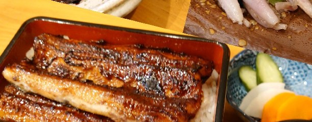 うなぎ流木
