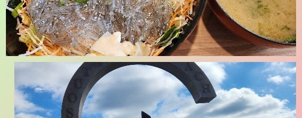 しらす問屋 とびっちょ 弁財天仲見世通り店