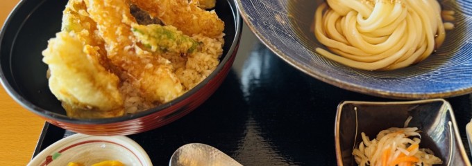 ハスネテラス