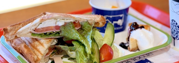 Y&Y GARDEN ツリーバザール