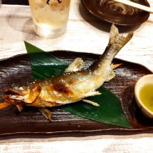 Katsushi_55さんの写真